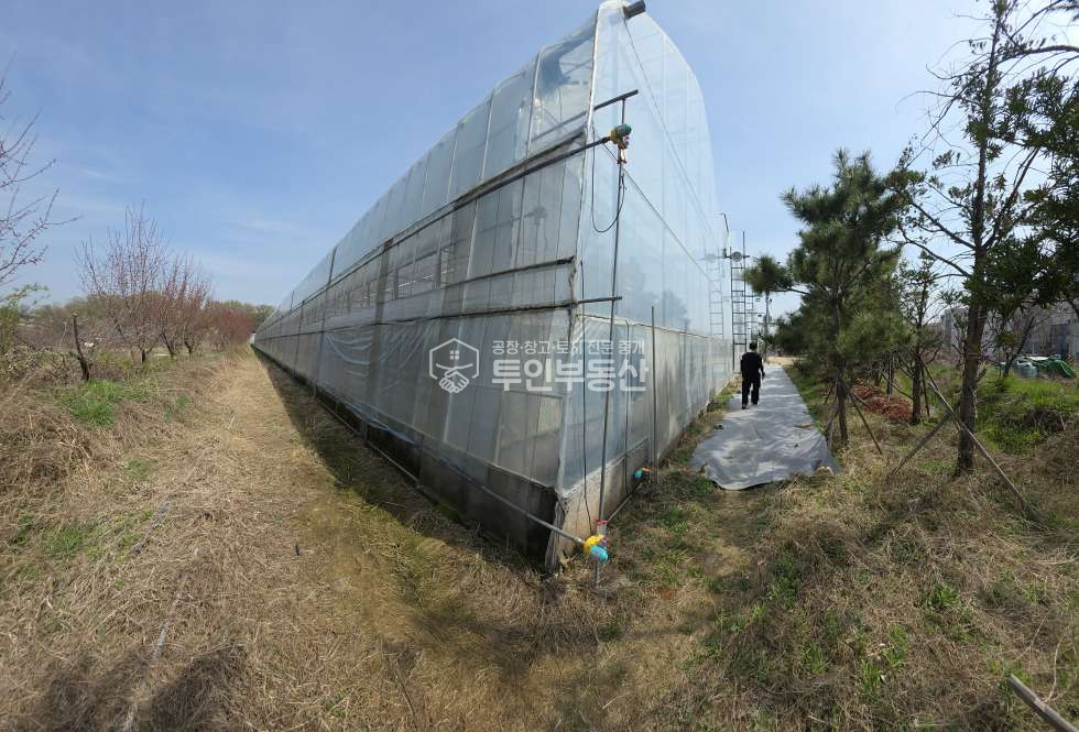 경기 고양덕양구 주교동 #2142평 #농지매매 #하우스8동포함 #2차선접 #고양IC인근 매매 매물번호 10381 사진 9