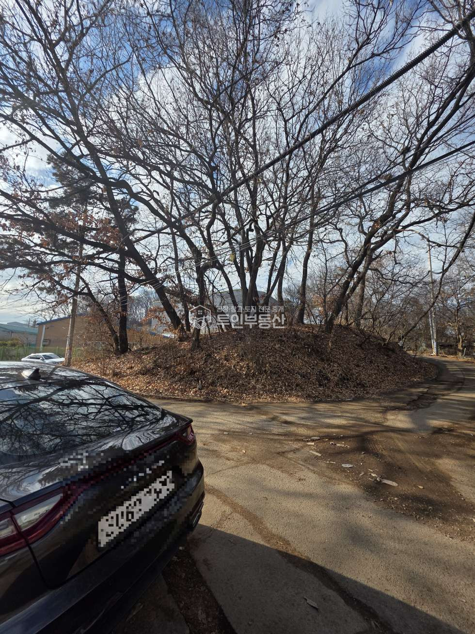 경기 고양일산동구 설문동 #534평 #토지매매 #창고 및 공장건축가능 #계획관리산업zone # 매매 매물번호 10256 사진 3